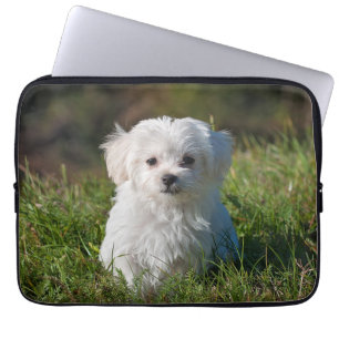 Funda Para Portátil Perro picante maltés blanco y esponjoso