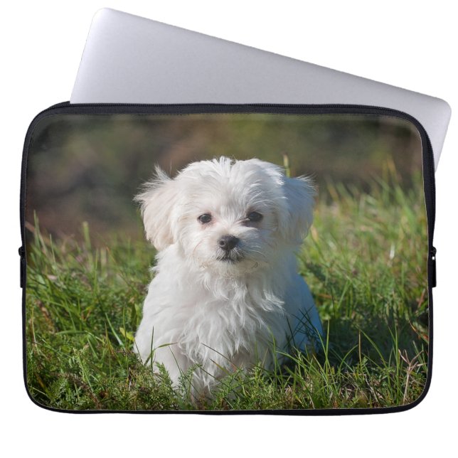 Funda Para Portátil Perro picante maltés blanco y esponjoso (Frente)