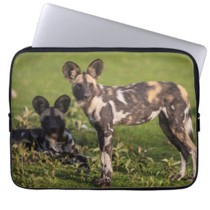 Funda Para Portátil Perros salvajes africanos en Tanzania
