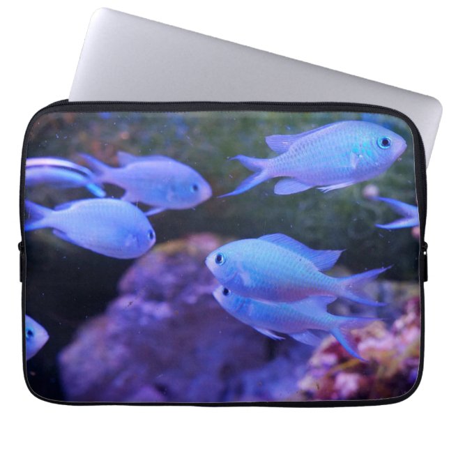 Funda Para Portátil Pescado azul tropical (Frente)