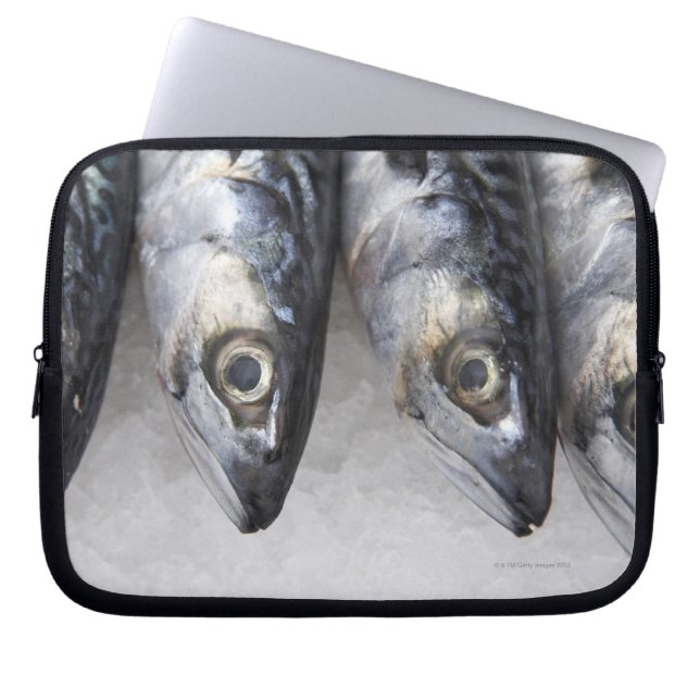 Funda Para Portátil Pescado de caballa, pescado fresco del día (Frente)