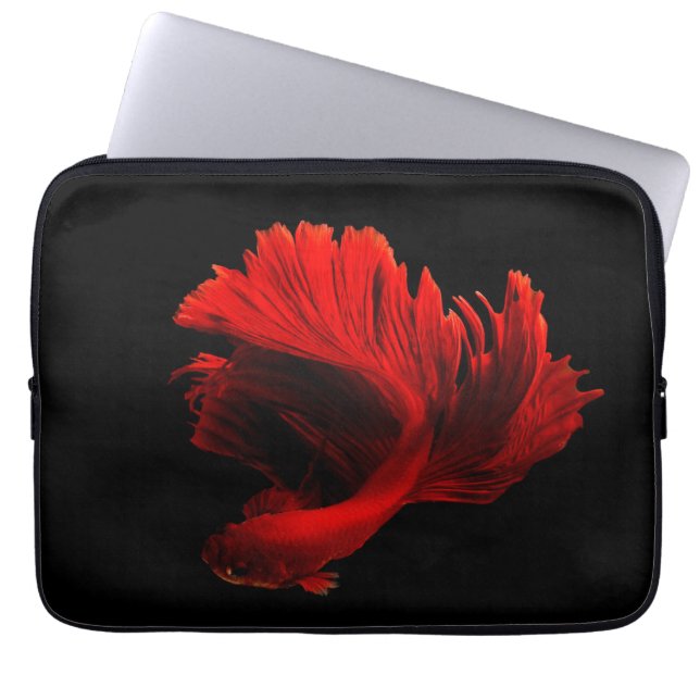 Funda Para Portátil Pescado rojo ruby de combate siamés (Frente)