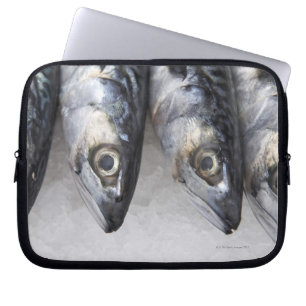 Funda Para Portátil Pescados de la caballa, captura fresca del día