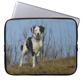 Funda Para Portátil Pierna del border collie aumentada
