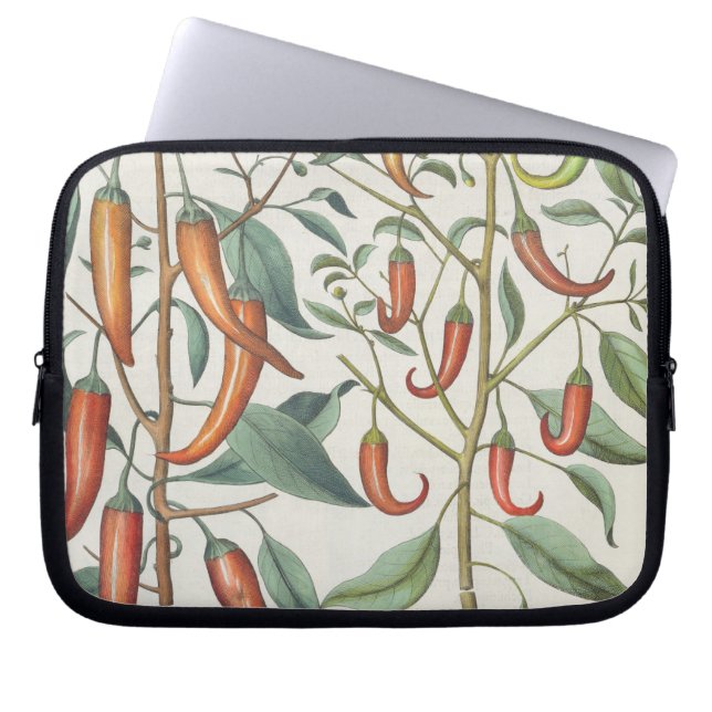 Funda Para Portátil Pimientas: longum del máximo de 1.Piper Indicum; (Frente)