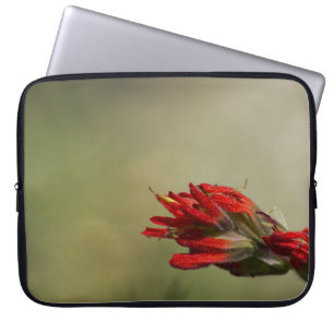 Funda Para Portátil Pincel indio