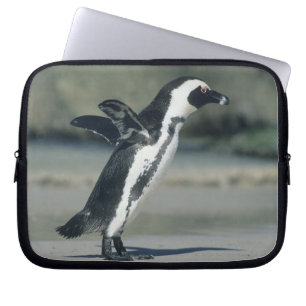 Funda Para Portátil Pingüino Africano