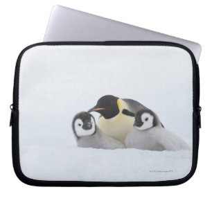 Funda Para Portátil Pingüino de emperador (forsteri del Aptenodytes)