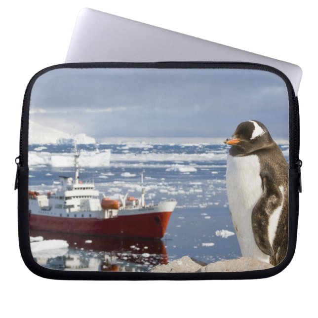Funda Para Portátil Pingüino de Gentoo (Frente)