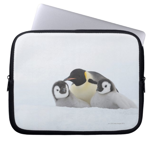 Funda Para Portátil Pingüino emperador (Aptenodytes forsteri) 2 (Frente)