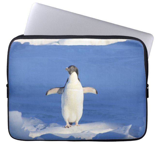 Funda Para Portátil Pingüino gracioso en foto de hielo (Frente)