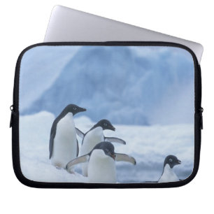 Funda Para Portátil Pingüinos Adelia (Pygoscelis adeliae) sobre hielo,