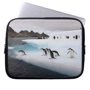 Funda Para Portátil Pingüinos de barbijo