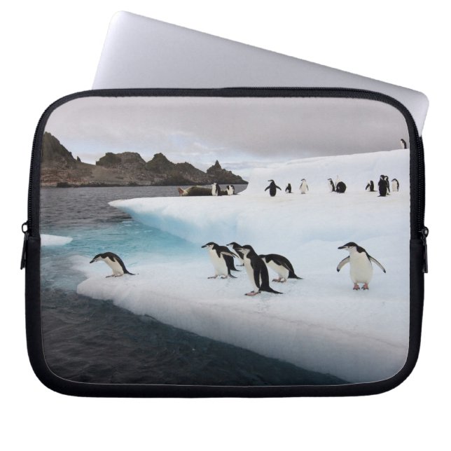 Funda Para Portátil Pingüinos de barbijo (Frente)