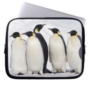 Funda Para Portátil Pingüinos de emperador