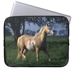 Funda Para Portátil Pinte el caballo que coloca 2