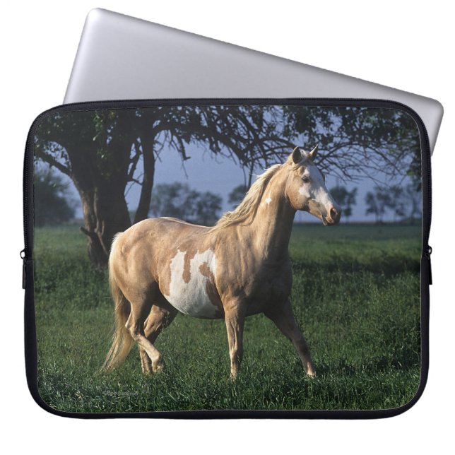 Funda Para Portátil Pinte el caballo que coloca 2 (Frente)