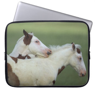 Funda Para Portátil Pinte jugar de los potros