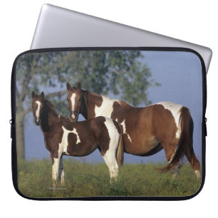 Funda Para Portátil Pinte la yegua y el potro