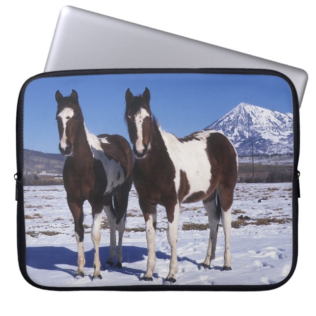 Funda Para Portátil Pinte los caballos que se colocan en la nieve (Frente)