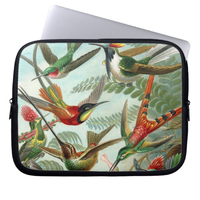 Funda Para Portátil pintura clásica de la fauna silvestre de comingbir (Frente)