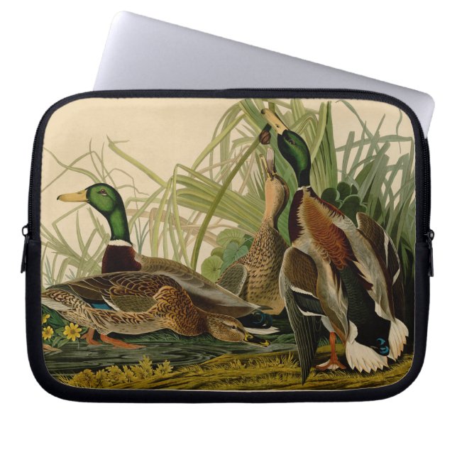 Funda Para Portátil Pintura de pájaro de Mallard Duck Audubon (Frente)