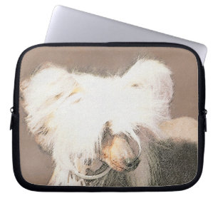Funda Para Portátil Pintura sin pelo de cremallera china arte original