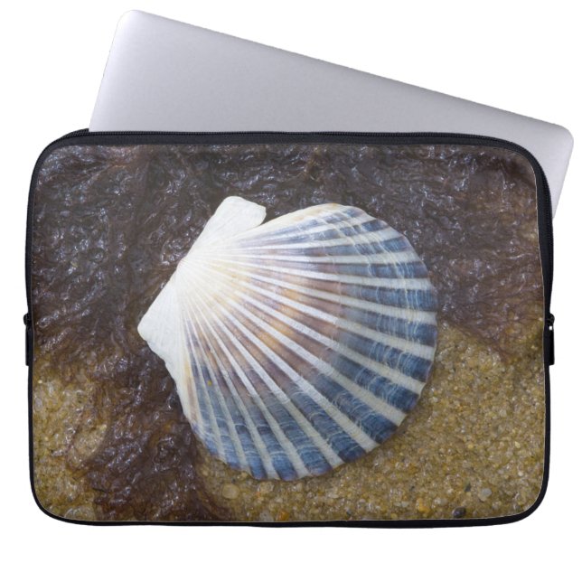 Funda Para Portátil Piscina de marea (Frente)