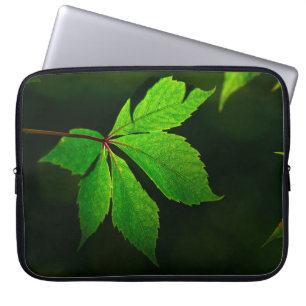 Funda Para Portátil Planta de textura de patrón de hoja