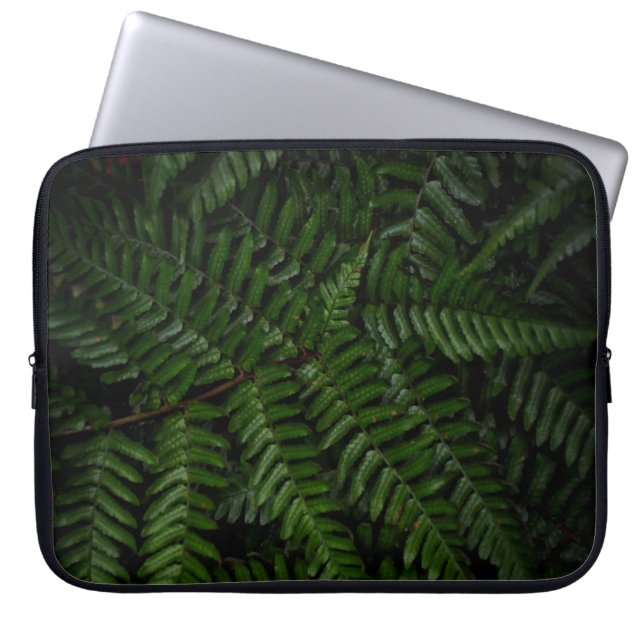 Funda Para Portátil Planta Fern (Frente)