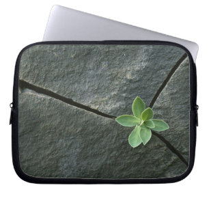 Funda Para Portátil Planta que crece en Boulder agrietado