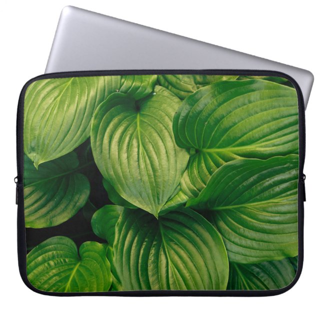 Funda Para Portátil Planta verde (Frente)
