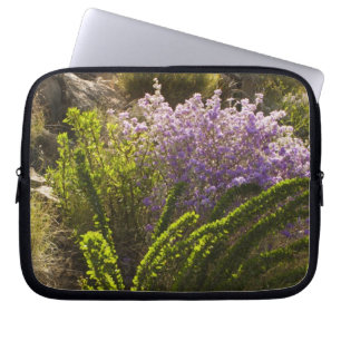 Funda Para Portátil Plantas del desierto de Chihuahua en floración