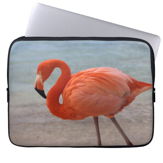 Funda Para Portátil Playas tropicales | Flamingo caribeño, Aruba (Frente)