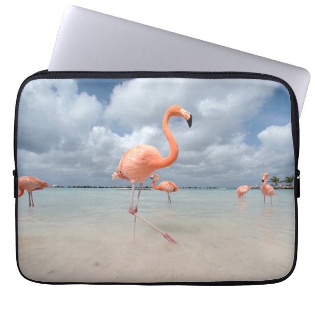 Funda Para Portátil Playas tropicales | Playa Flamingos, Aruba (Frente)