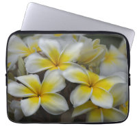Plumeria, Fotografía de Flor Amarilla