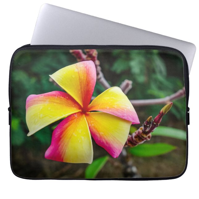 Funda Para Portátil Plumeria rubra (Frente)