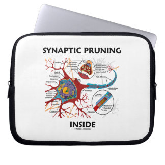 Funda Para Portátil Poda sináptica dentro de la neurología de la