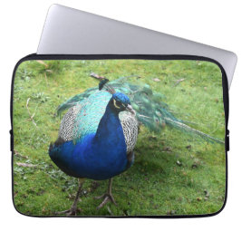 Funda Para Portátil Poder de pavo real