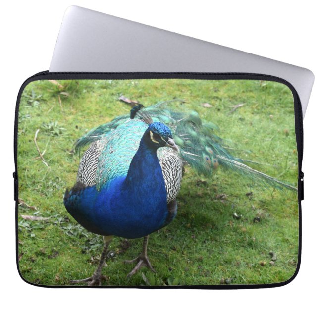 Funda Para Portátil Poder de pavo real (Frente)