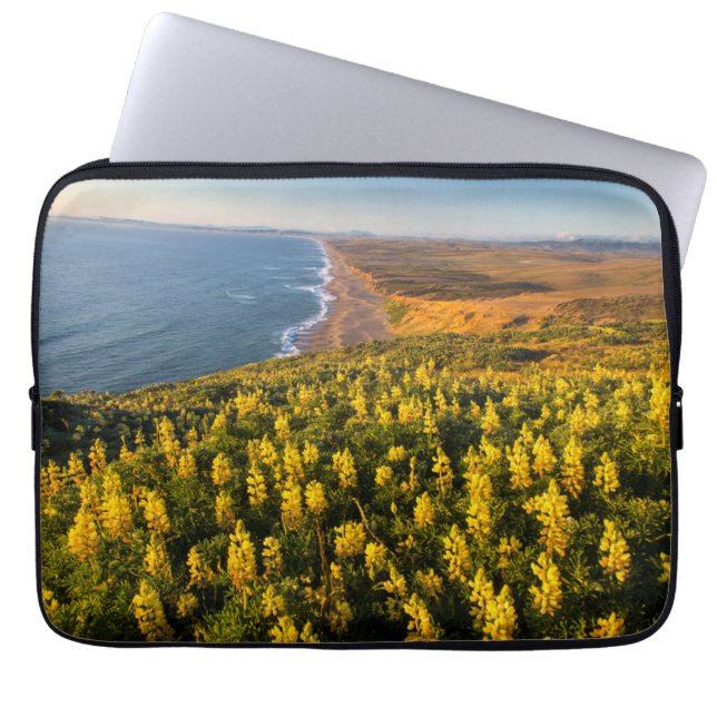 Funda Para Portátil Point Reyes National Seashore California (Frente)