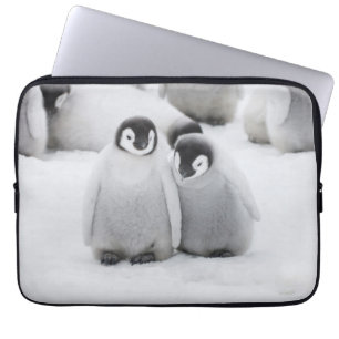 Funda Para Portátil Pollitos de Pingüino Emperador en Hielo en Antárti