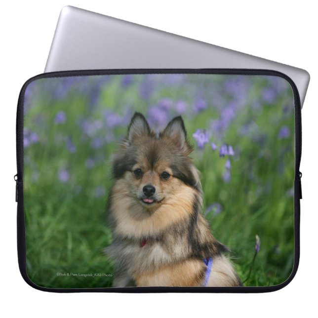 Funda Para Portátil Pomeranian en la hierba (Frente)