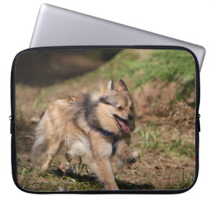 Funda Para Portátil Pomeranian que corre con el arnés encendido