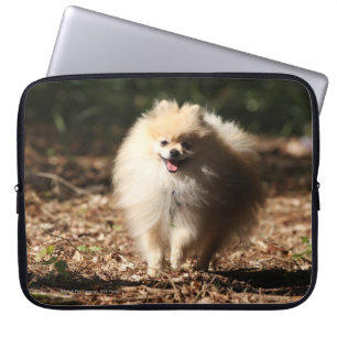 Funda Para Portátil Pomeranian que trota en las hojas caidas