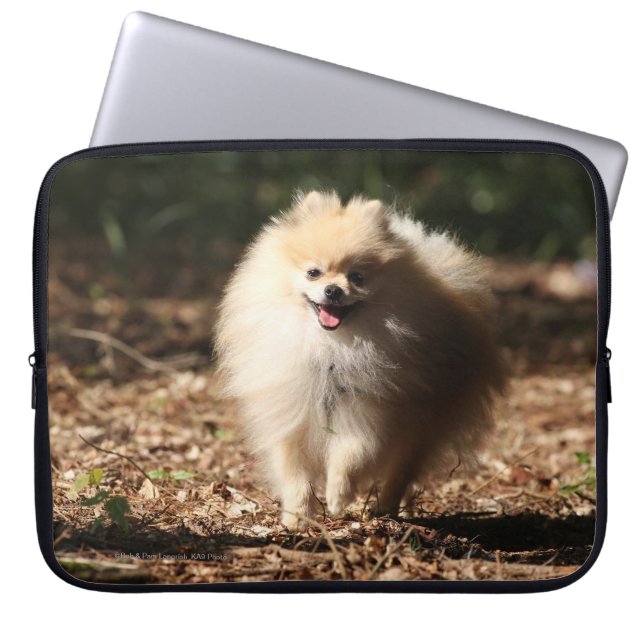 Funda Para Portátil Pomeranian que trota en las hojas caidas (Frente)