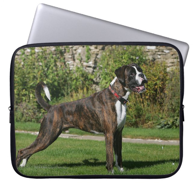Funda Para Portátil Postura Brindle de la exposición canina del (Frente)