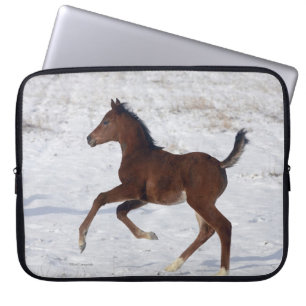 Funda Para Portátil Potro árabe en la nieve