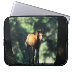 Funda Para Portátil Potro árabe en los árboles