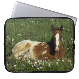 Funda Para Portátil Potro del Appaloosa que coloca en flores